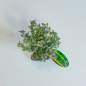 Preview: Lucky Reptile Trockenbusch